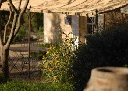 Bed and Breakfast Mas Bella Cortis La Garde-Adhémar Exteriér fotografie